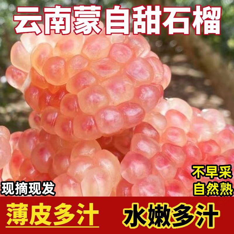 云南蒙自绿籽甜石榴 大果薄皮当季现摘硬籽石榴新鲜水果9斤礼盒装