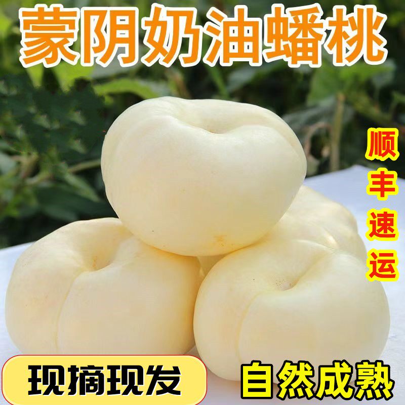 顺丰现摘奶油蟠桃脆甜当季新鲜水果白油蟠桃白扁桃子蒙阴蜜桃礼盒