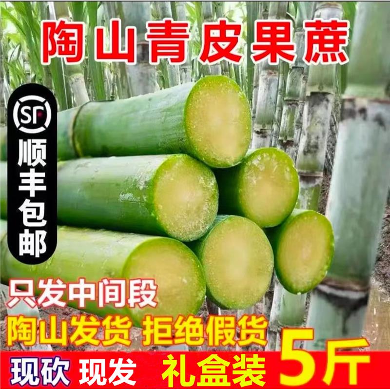 顺丰包邮浙江温州特产陶山甘蔗青皮果蔗新鲜现砍绿皮水果甘蔗5斤