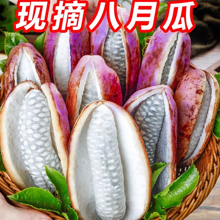 新鲜八月瓜水果八月炸当季生鲜非野香蕉8月果现摘九月黄预知子