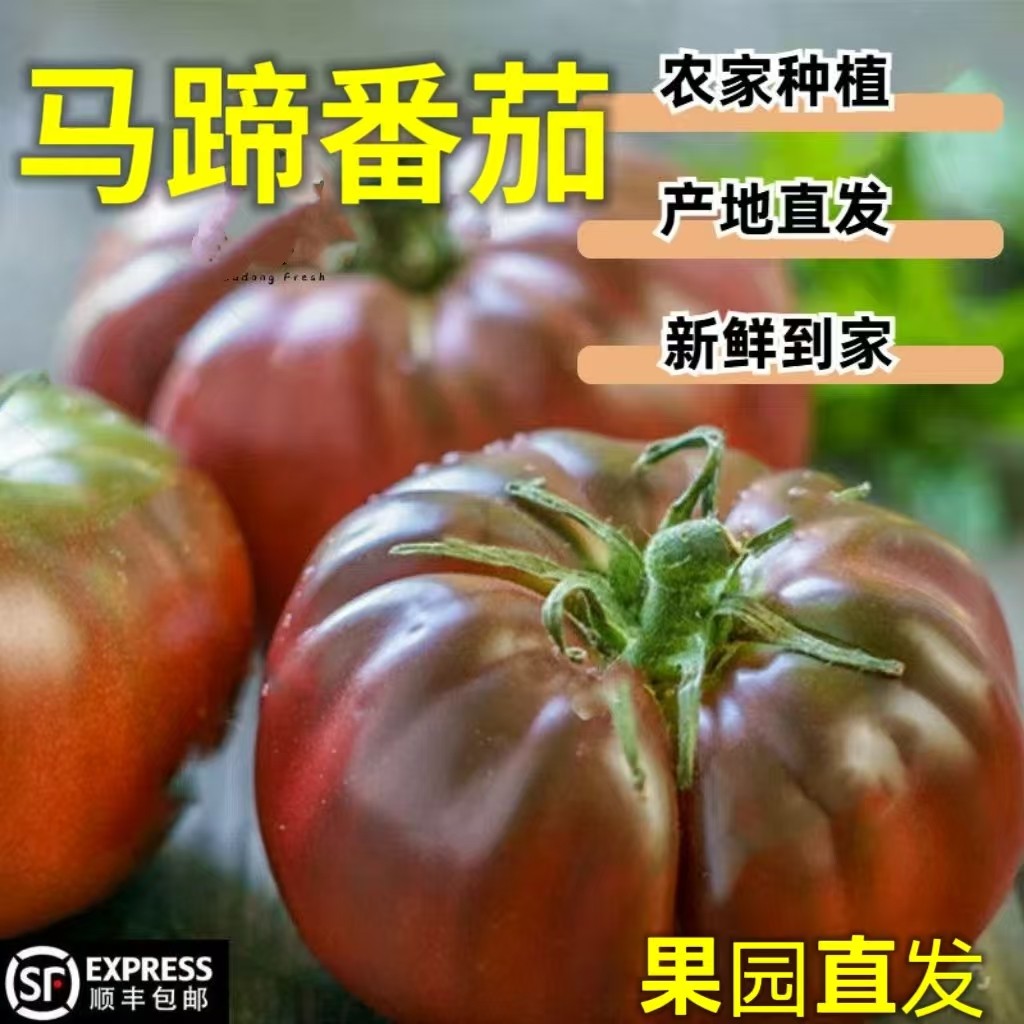 山东寿光黑鹅肝番茄新鲜马蹄丑番茄农家自种自然熟沙瓤西红柿蔬菜,水产肉类/新鲜蔬果/熟食,番茄,淘宝优惠券,粉丝福利购,淘宝优惠卷