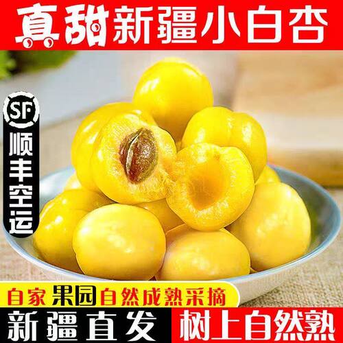新疆小白杏正宗轮台库车甜杏子