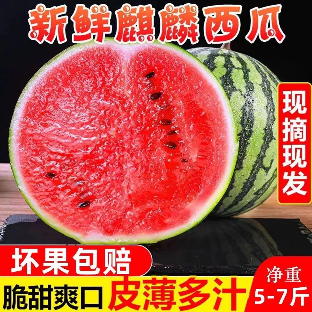 麒麟8424西瓜正宗美都