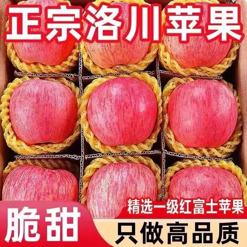 脆富发陆大中国苹洛果川新红富士