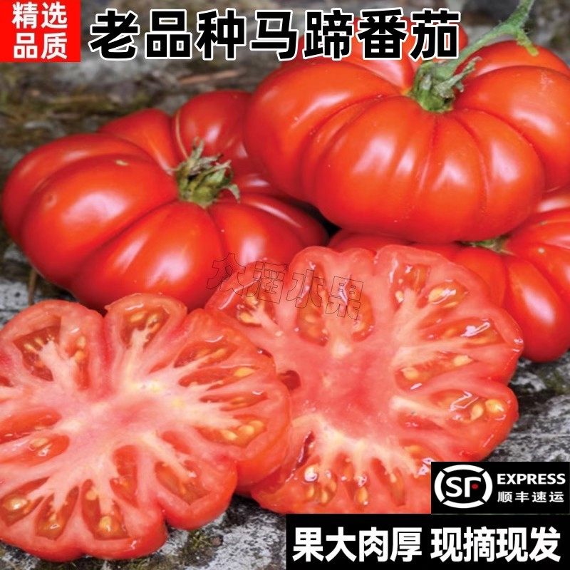 顺丰现摘红马蹄番茄老品种鹅肝丑番茄西红柿农家沙瓤柿子新鲜蔬菜,水产肉类/新鲜蔬果/熟食,番茄,淘宝优惠券,粉丝福利购,淘宝优惠卷