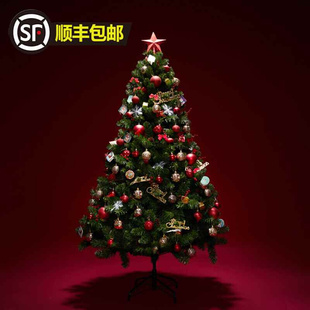 老丈人圣诞树加密发光家用1.2m1.5m1.8m环保阻燃套餐圣诞节装饰