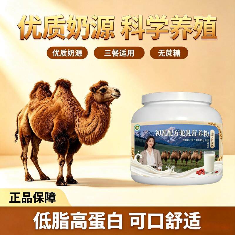 人群初乳驼乳粉日常养生高蛋白低骆驼营养粉原产地正宗初乳配方