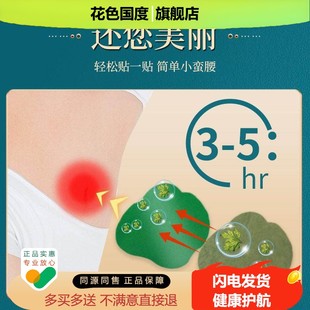 清肠贴 艾草中药提取肚脐贴贴