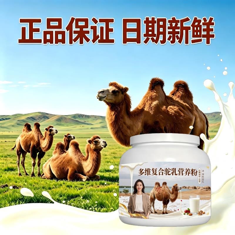 多维驼乳粉温冲速溶多维低骆驼营养粉厂家直销100%正宗初乳配