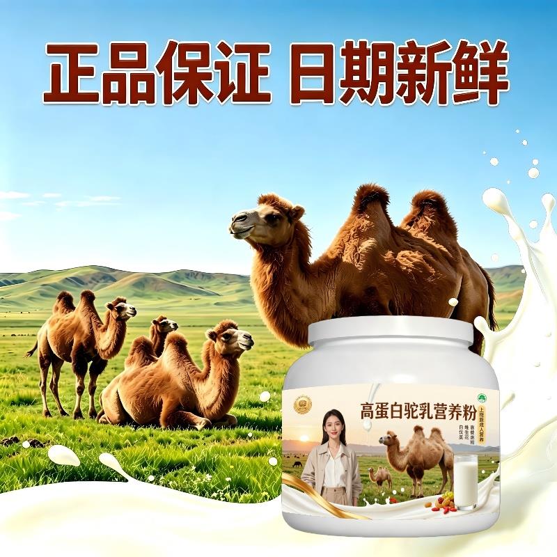 上班族高蛋白驼乳粉下午茶加餐高蛋白护肠胃驼奶冲调粉散养官方品
