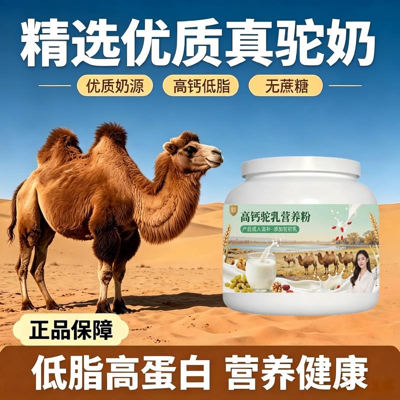 日常营养高钙驼乳粉饭后饮用多维粉质细腻驼奶粉厂家直销官方认证