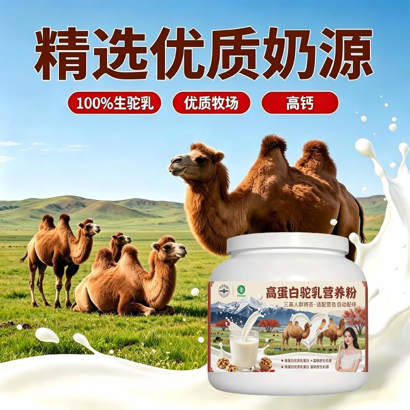 日常饮食人群高蛋白驼乳粉换季营养高蛋白护肠胃驼奶粉散养官方正
