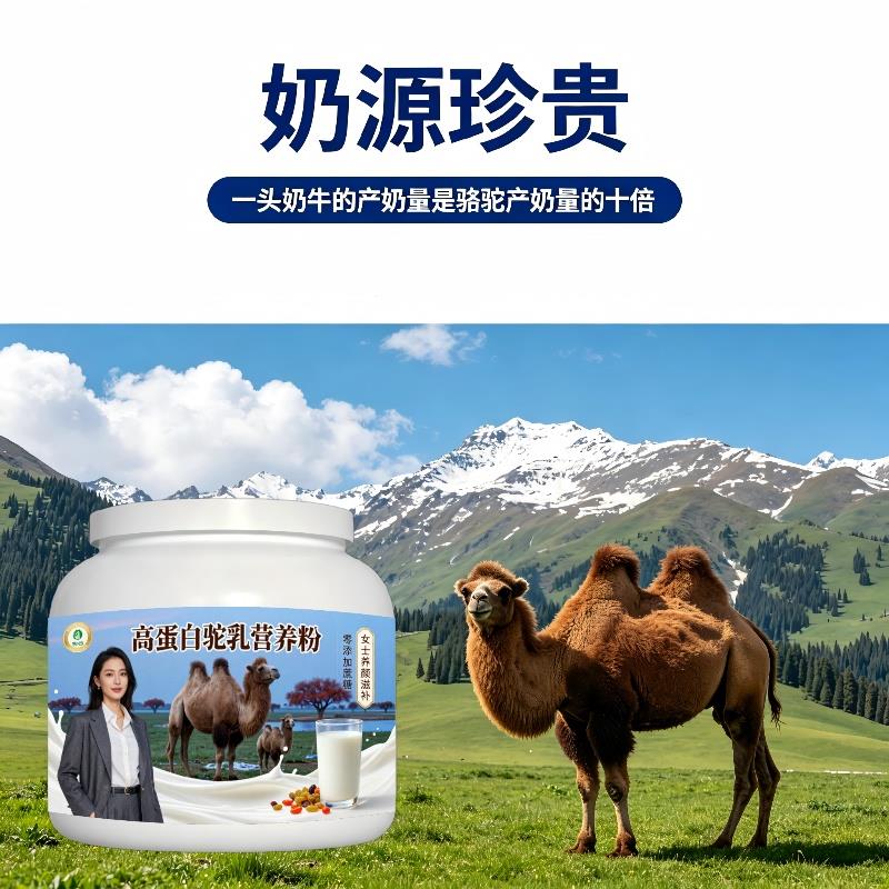 女士高蛋白驼乳粉饭后饮用零蔗糖驼奶冲调粉原产地正品纯正