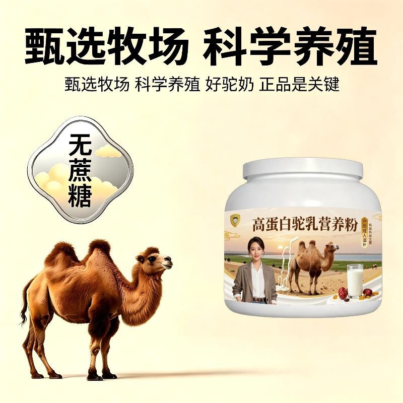 高蛋白驼乳粉产后恢复高钙驼奶粉直供正品配方
