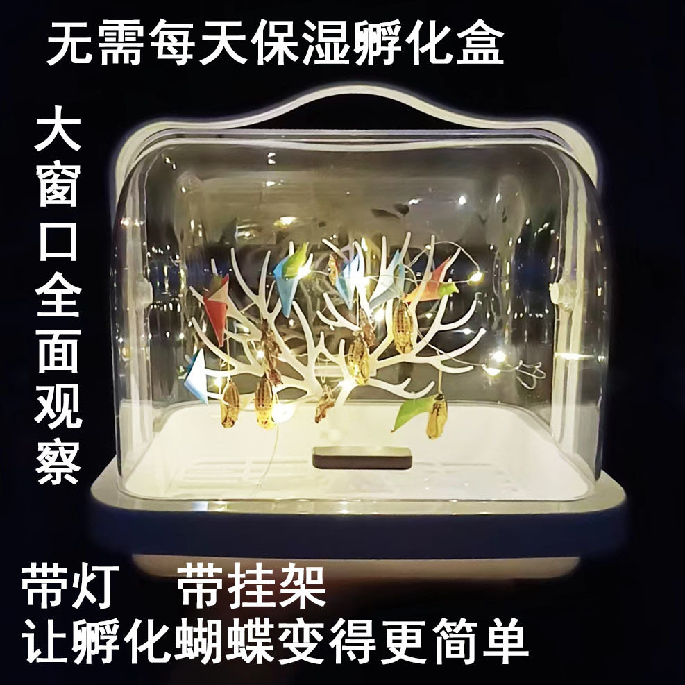 蝶蛹幼虫毛毛虫可认主笼观察昆虫笼养虫笼蝶卵羽化观察体验蝴蝶蛹