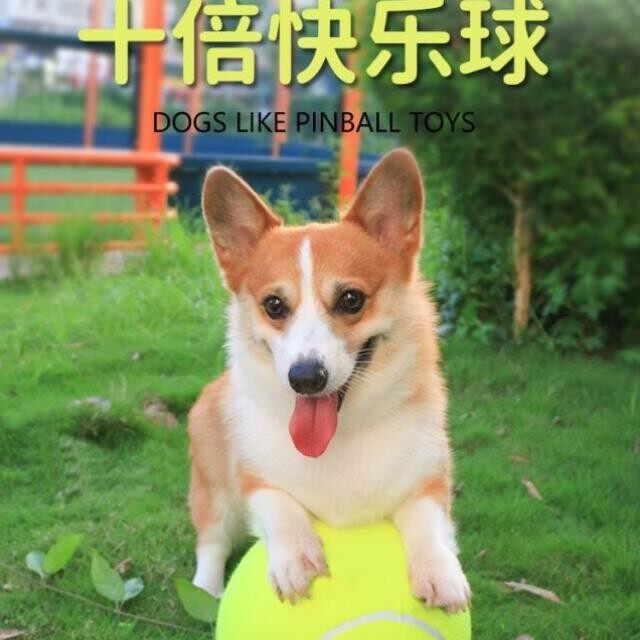 圩派耗球球体力宠T123乐物狗网球玩具迪十倍快体宠物柯狗狗独处力