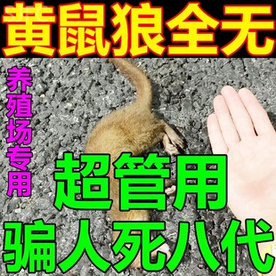 养鸡防黄鼠狼驱赶神器药养殖场鸡窝鸡舍黄鼠狼防吓野兽克星