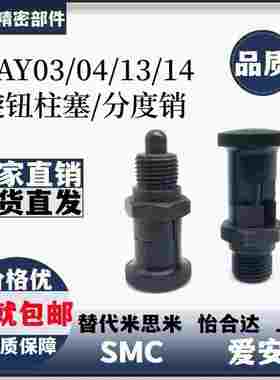 ZAY03 04 13 14-M10-M12-M16-M20细牙分度销 嵌入式复位/自锁型