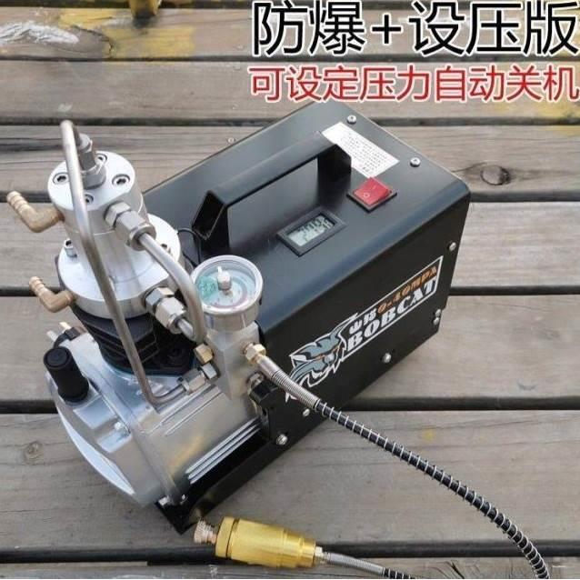 德国进口山猫电动高压打气机30mpa高压充气泵40mpa小型单缸水冷