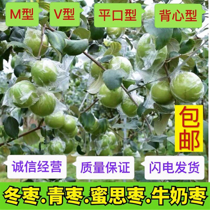 热销青枣袋百香果袋石榴套袋防虫果袋专用水果保护透明专用袋防虫