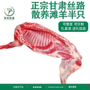 正宗西北滩羊肉原肉鲜切生羊肉小包装 羊腿羊排羊蝎子散养丝路滩羊