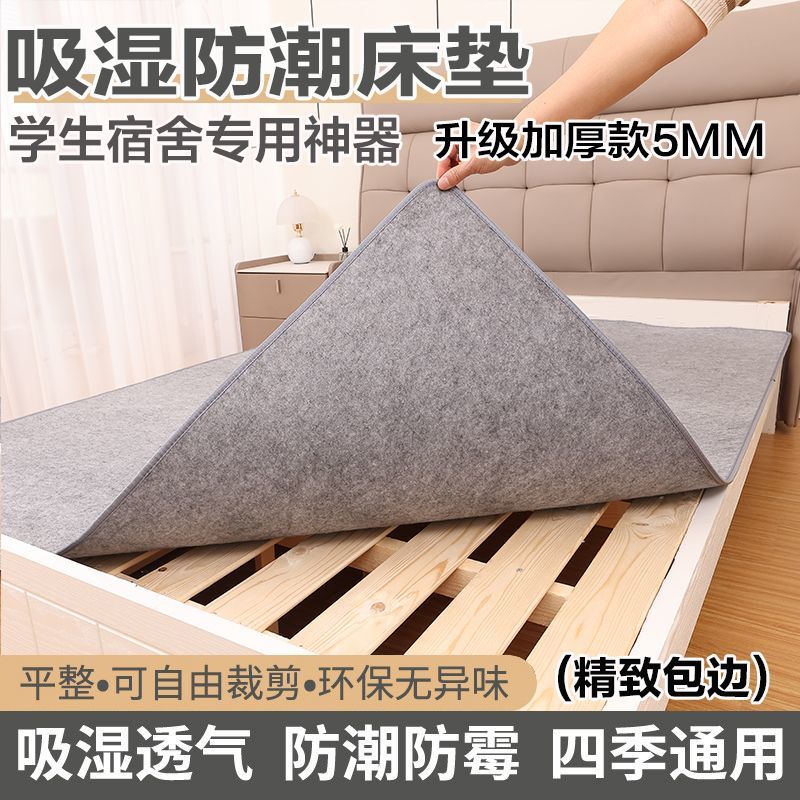 四季通用防潮垫防湿防霉防螨虫
