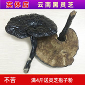 黑灵芝 半野生灵芝免费切片磨粉 云南深山整朵林下黑芝乾货正品