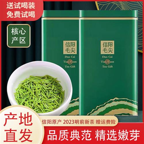 毛尖茶叶信阳毛尖2023新茶明前特级嫩芽绿茶春茶散装500g纯芽尖