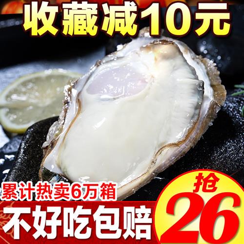 乳山生蚝鲜活牡蛎海鲜水产贝类海蛎子肉大带壳新鲜 5斤10斤顺丰