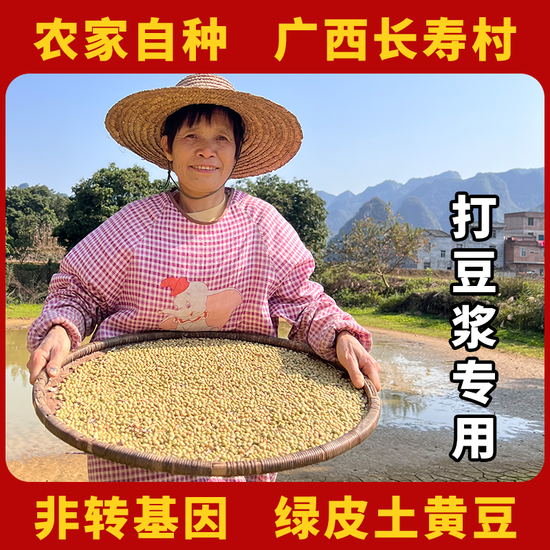 韦小果黄豆农家自种绿皮黄豆