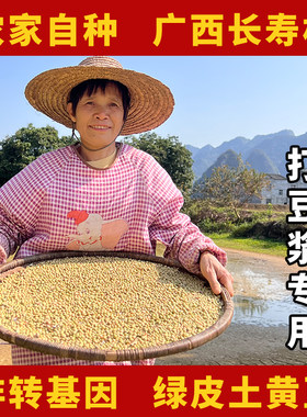 韦小果黄豆农家自种绿皮黄豆