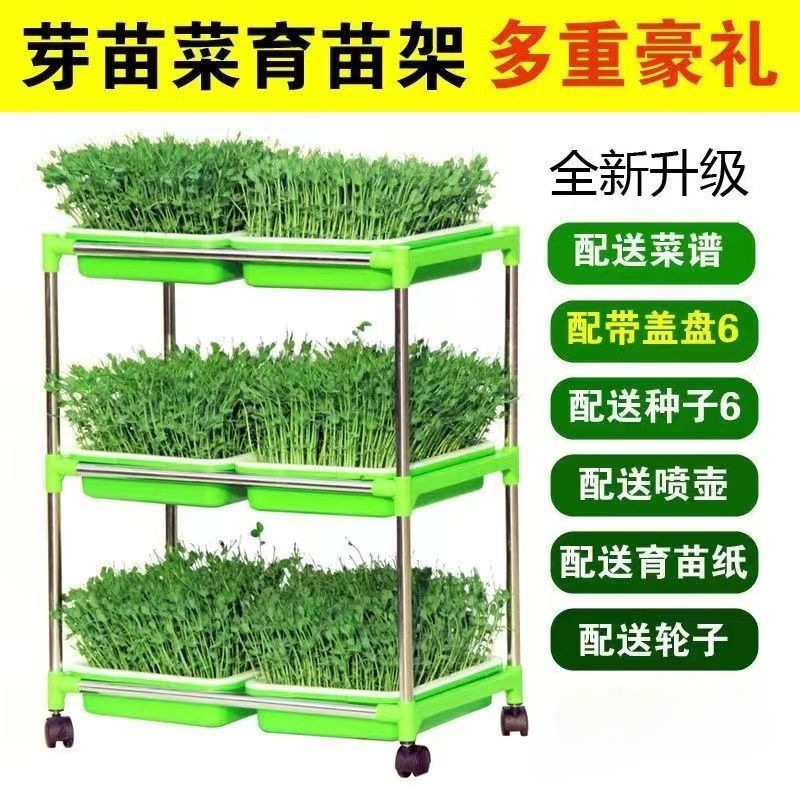 芽苗菜育苗架子育苗盘水培蔬菜加密盘生豆芽发芽盆带盖豌豆生芽盆