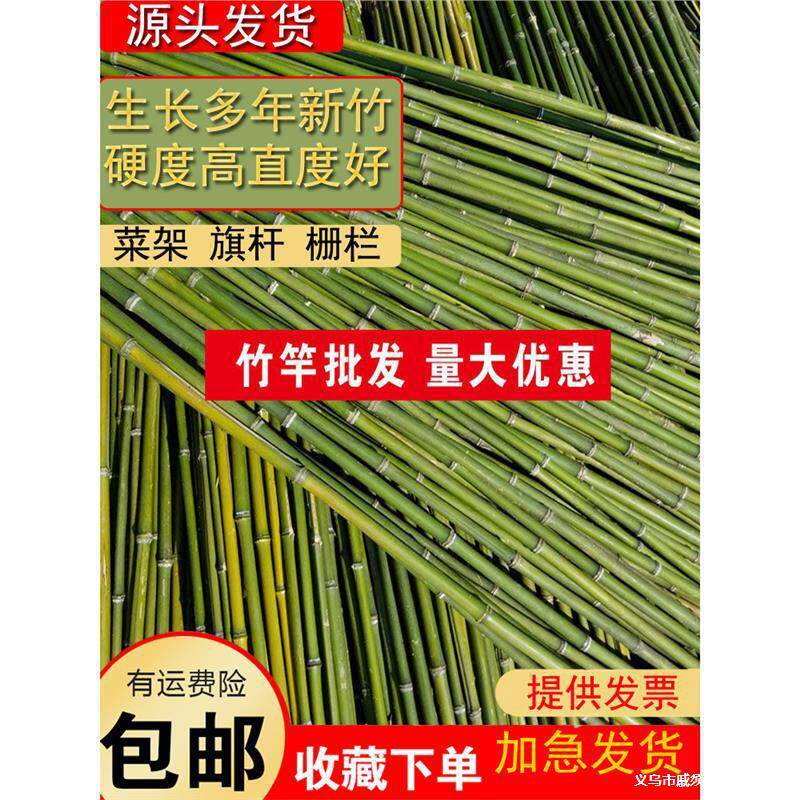 粗细小竹竿蔬菜爬藤竹杆架种菜园搭架豆角架篱笆栅栏彩旗杆细竹子