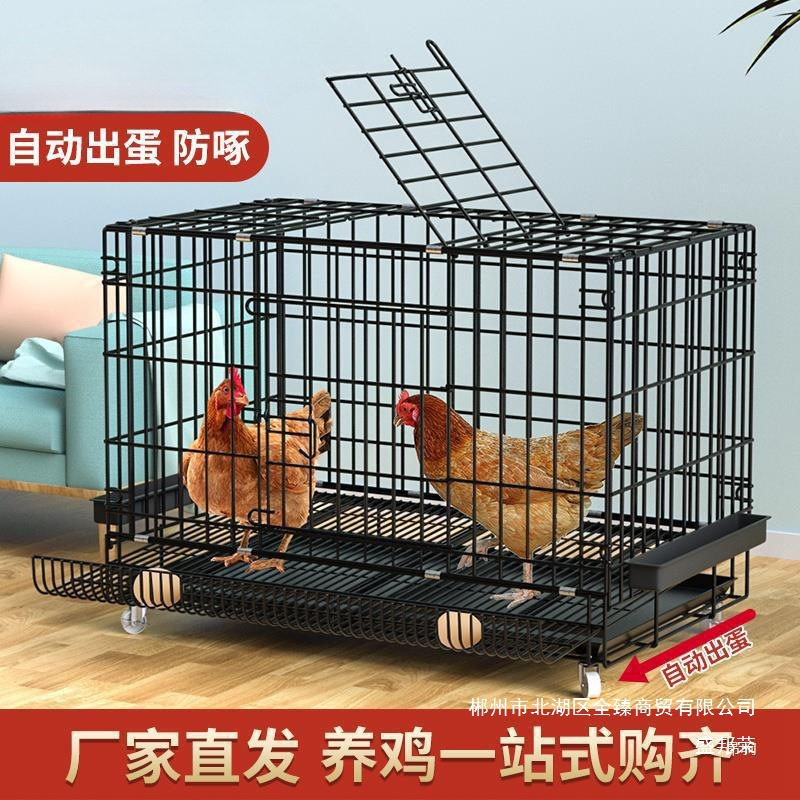 鸡笼子家用加粗大号养殖笼鸡舍鸡笼鸭笼鹅笼狗笼自动滚蛋鸡笼现实