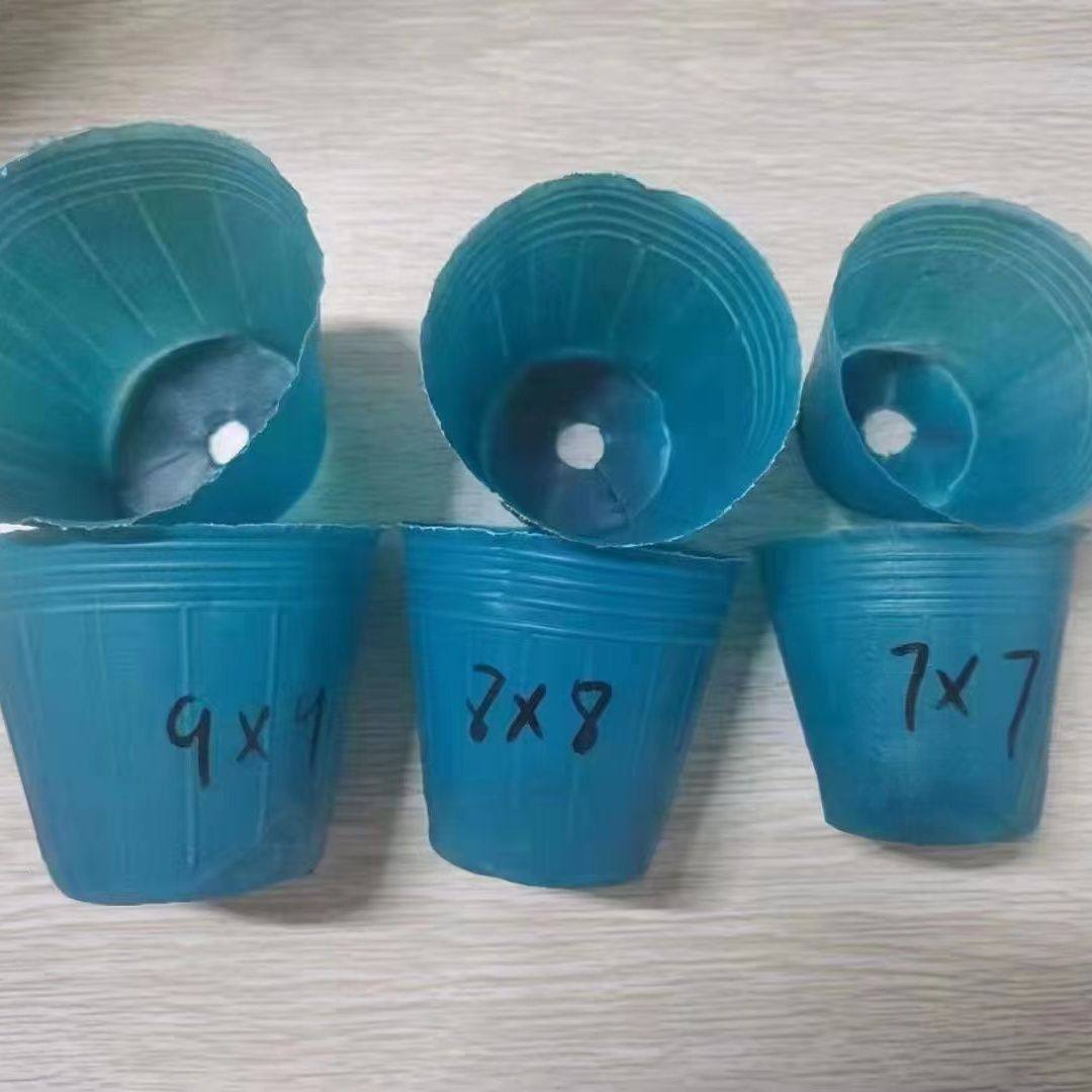 蓝色育苗碗营养钵花卉草莓蔬菜育苗杯大棚育苗专用加厚装土杯神器