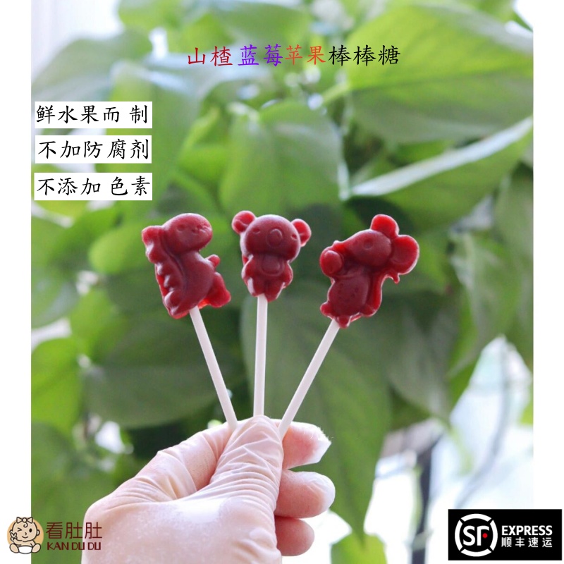 看肚肚膳食 无麸质山楂蓝莓棒棒糖 敏宝零食手工制作无添加剂