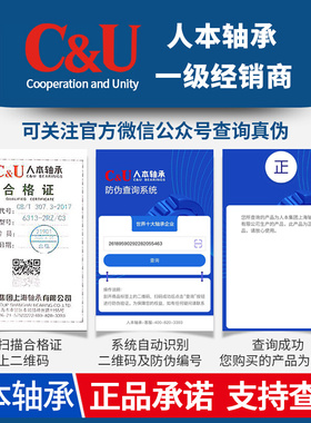 。C&U人本圆柱滚子轴承NU211 212 214 215 216 217 218 EM/C3