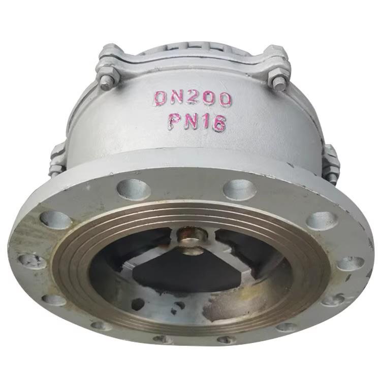 WCB铸钢法兰底阀H42W-6P16P铸钢水泵吸水底阀DN100升降式井底阀