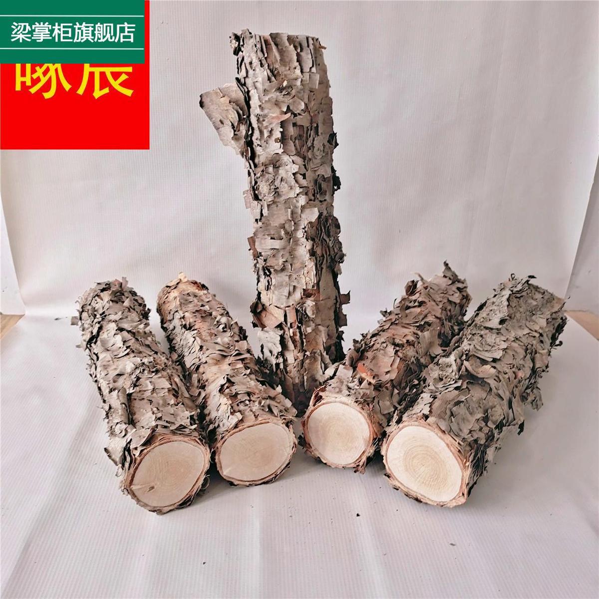 木铁桦树桦木原木铁桦原木装饰树隔断橱窗隔断湿木料