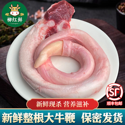 牛鞭新鲜正宗黄牛鞭10斤