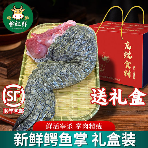 鳄鱼腿现杀整只鳄鱼掌3斤礼盒装