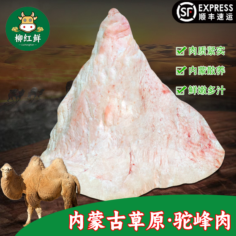 骆驼肉新鲜内蒙古散养骆驼峰
