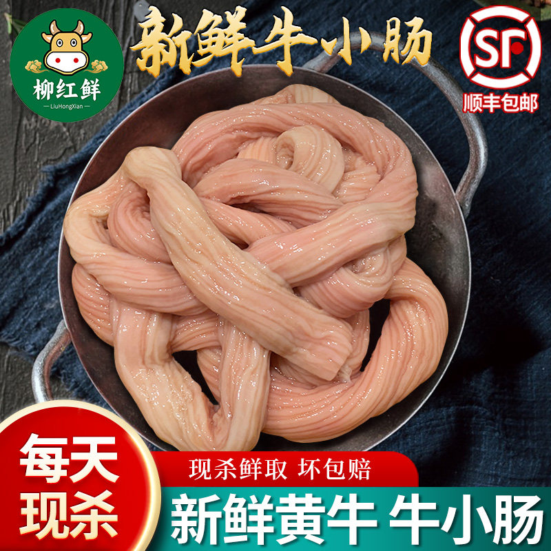 牛肠新鲜 正宗生牛小肠 韩式烤牛小肠现杀黄牛肥肠商用带油牛肠