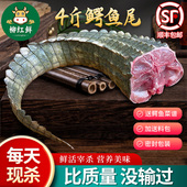 新鲜鳄鱼尾 现杀4斤鳄鱼尾巴养殖暹罗鳄肉正宗带皮鳄鱼生鲜肉食材