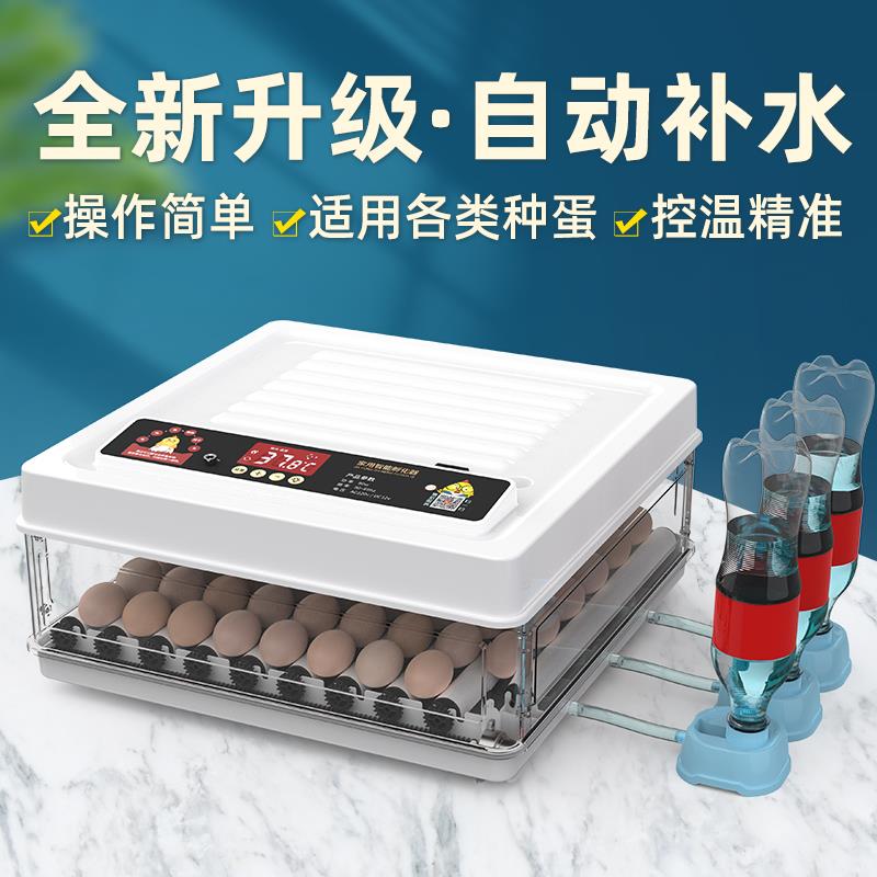 鸡蛋孵化机水床孵蛋器小鸡芦丁鸡孵化箱孵化器小型家用型全自动