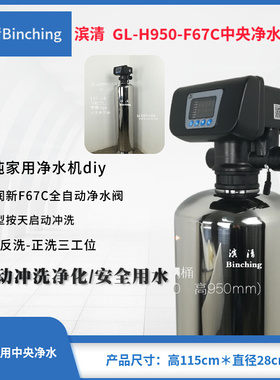 。滨清 2吨中央净水器 H950不锈钢桶+润新F67C全自动型净水机 diy