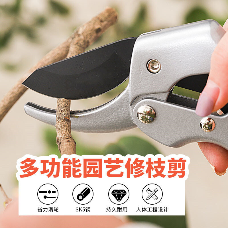 。花剪园林园艺大剪刀修枝剪树枝剪刀剪子果树摘菜茶叶水果神器省