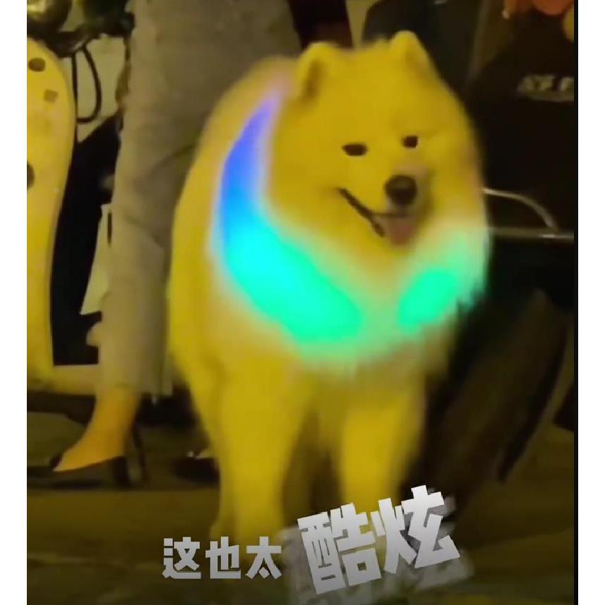 宠物夜行灯发光项圈狗狗夜间遛狗灯吊坠颈圈脖子防走失走丢防水