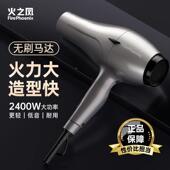 火之凤660H吹风机理发店专用发发型师家用功大率男士 廊速6600H干