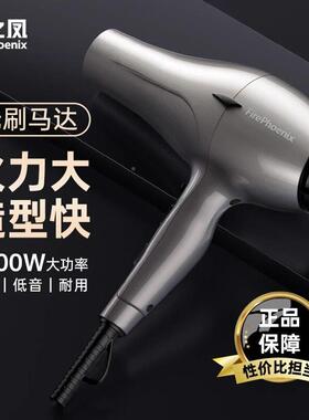 火之凤660H吹风机理发店专用发发型师家用功大率男士廊速6600H干